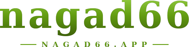 nagad66 logo